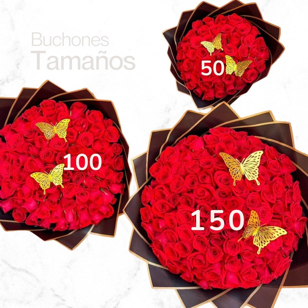 RAMO BUCHON 