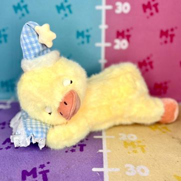 Patico dormilón - imagen 1