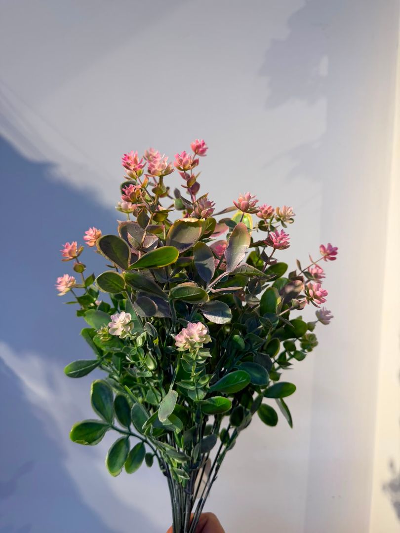 FOLLAJE ROSADO CON VERDE