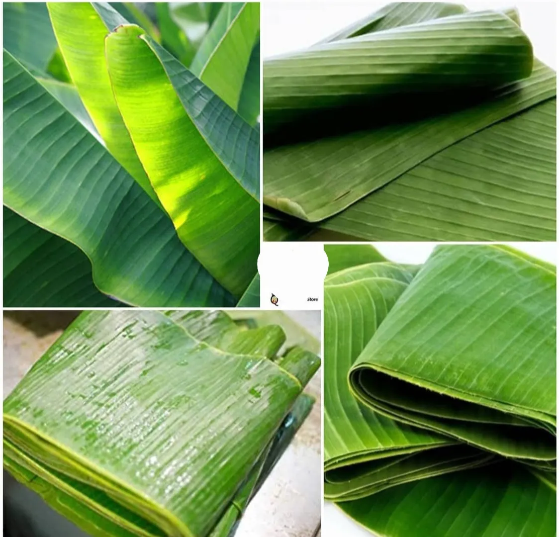 Banana Leaves /Hojas de Platano