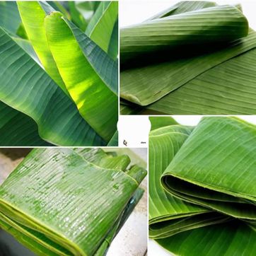 Banana Leaves /Hojas de Platano - imagen 1