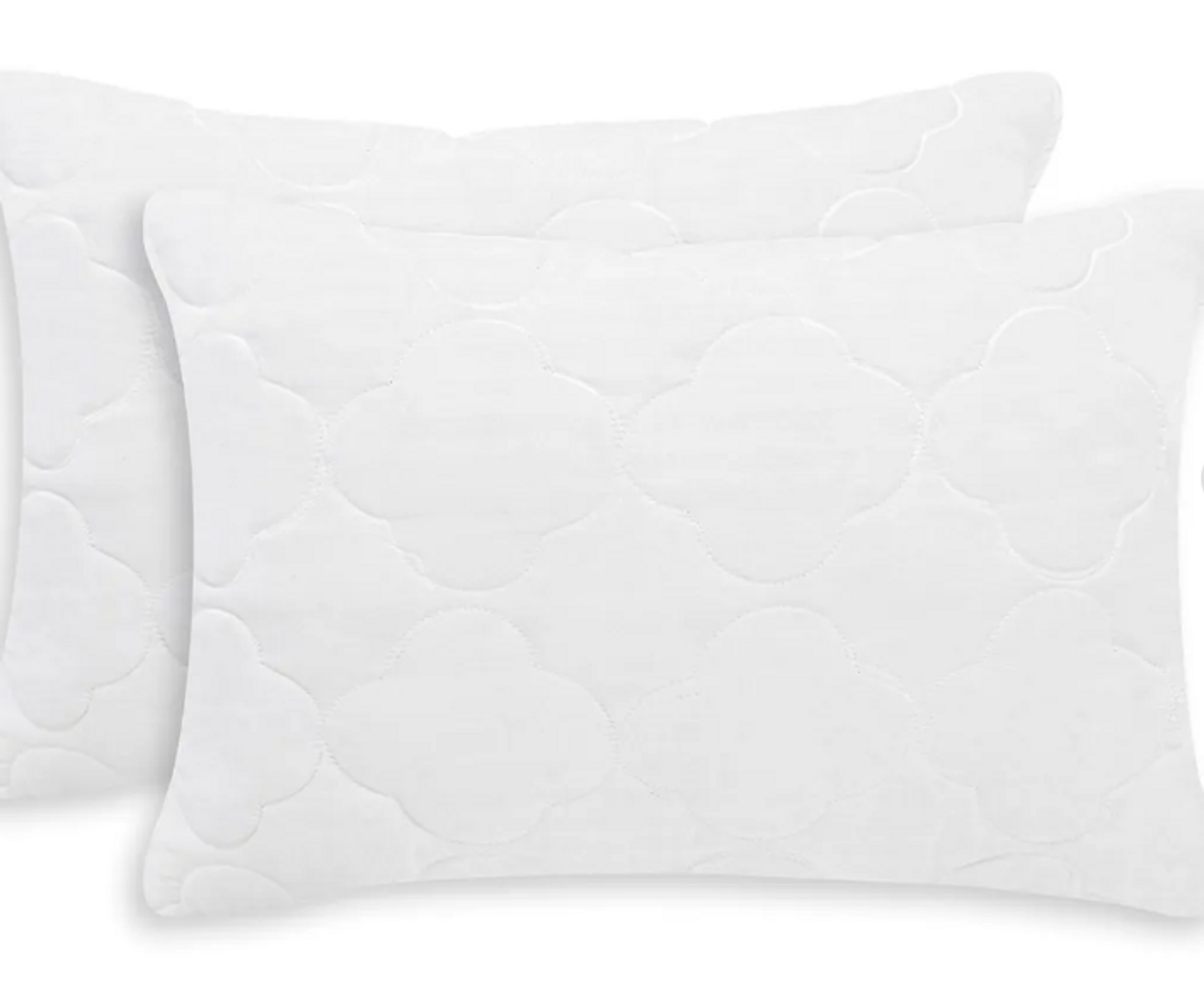 ALMOHADA ESPUMADOS DEL LITORAL