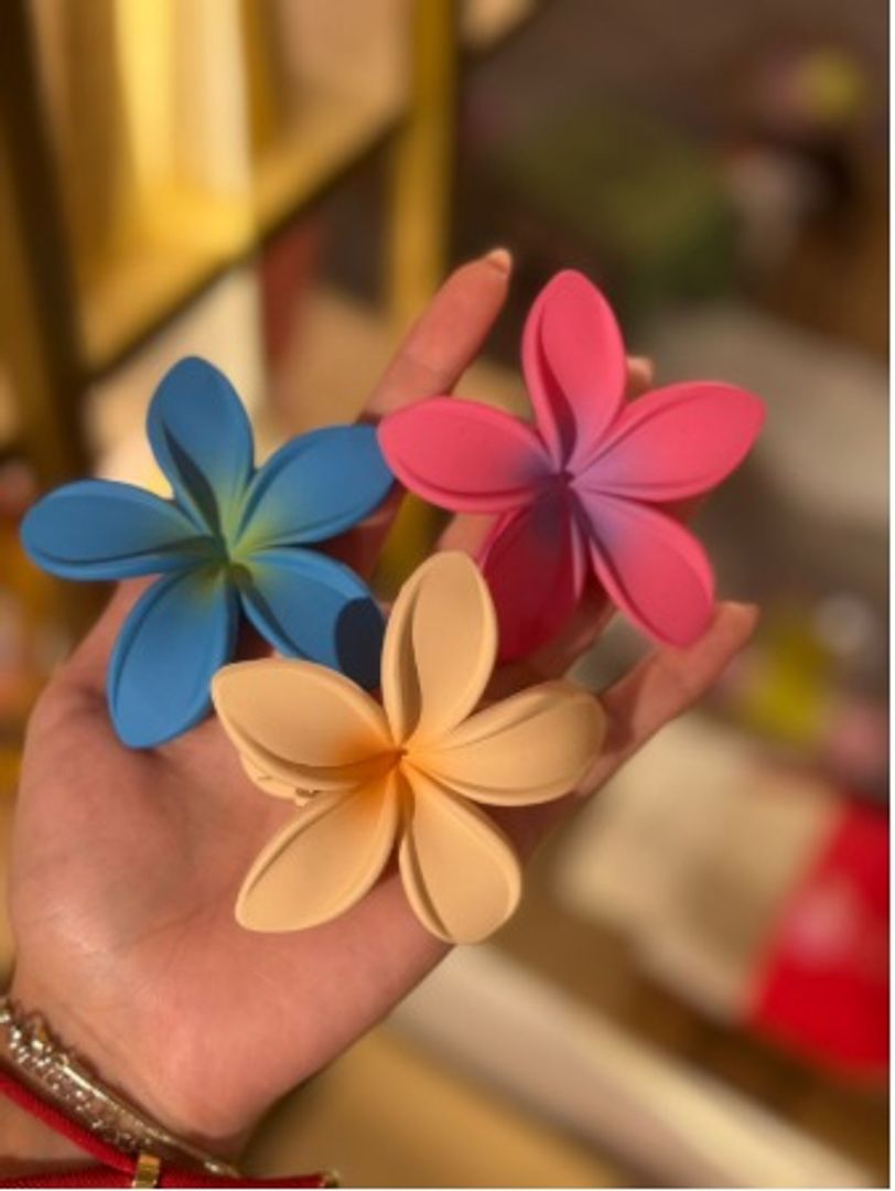 CLIPS ZOE HAWAII