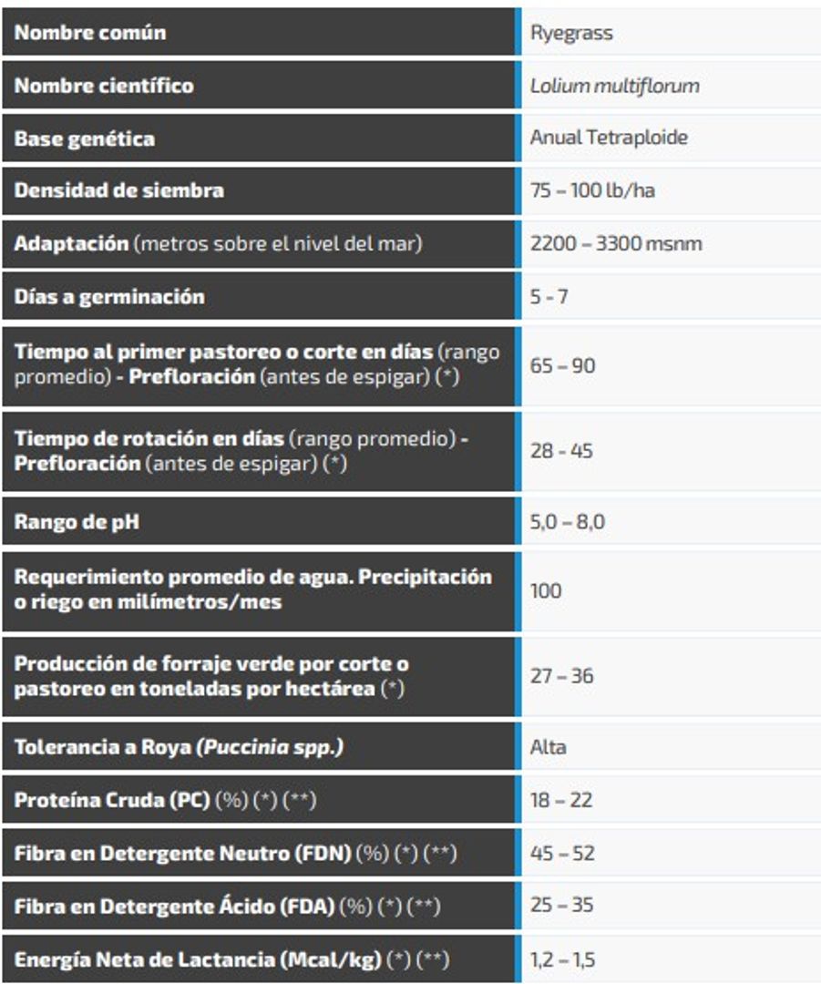 Ryegrass Bartrento (Anual tetraploide) x Kilo