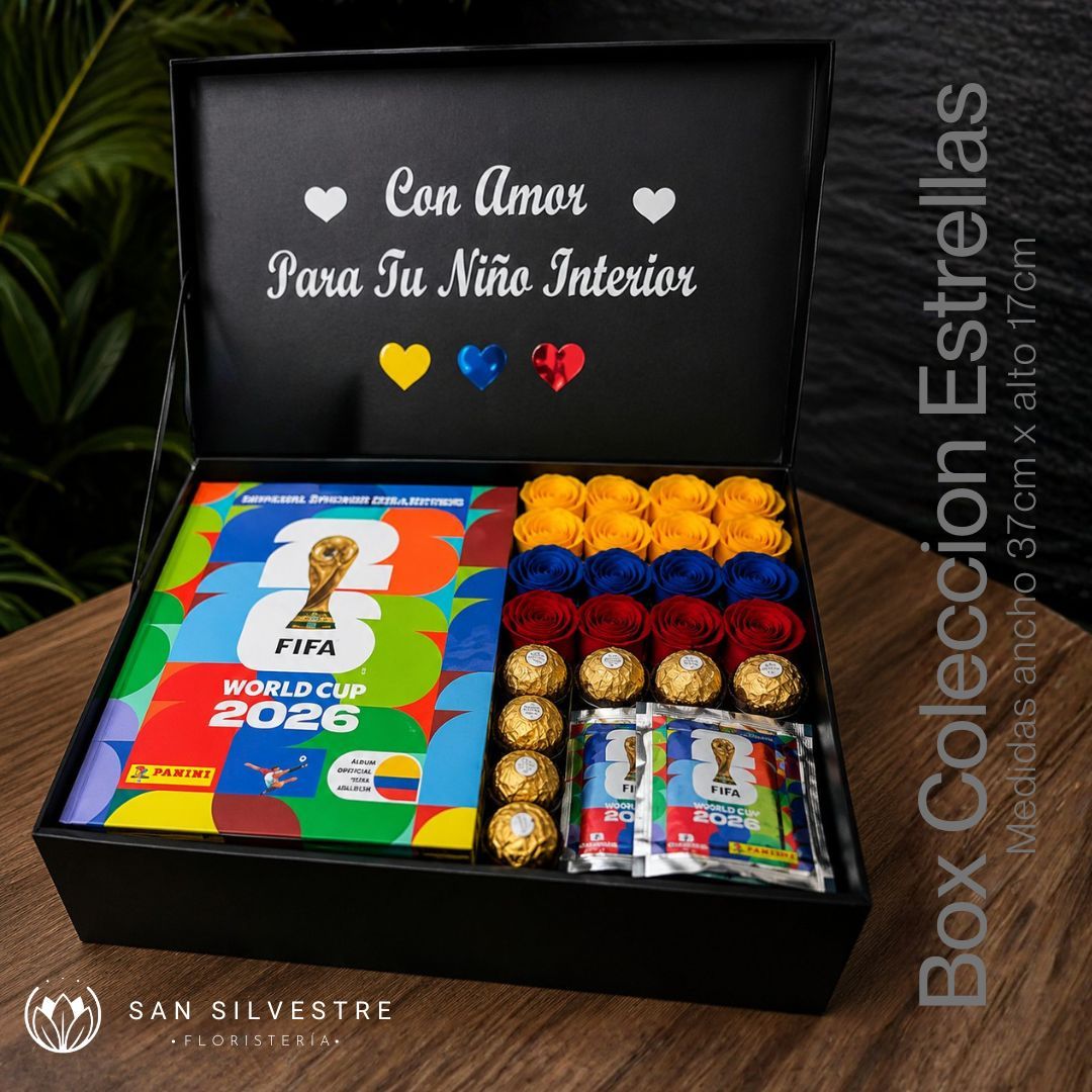 BOX COLECCION DE ESTRELLAS