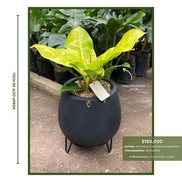 PROMO ARMA TU COMBO - imagen 3