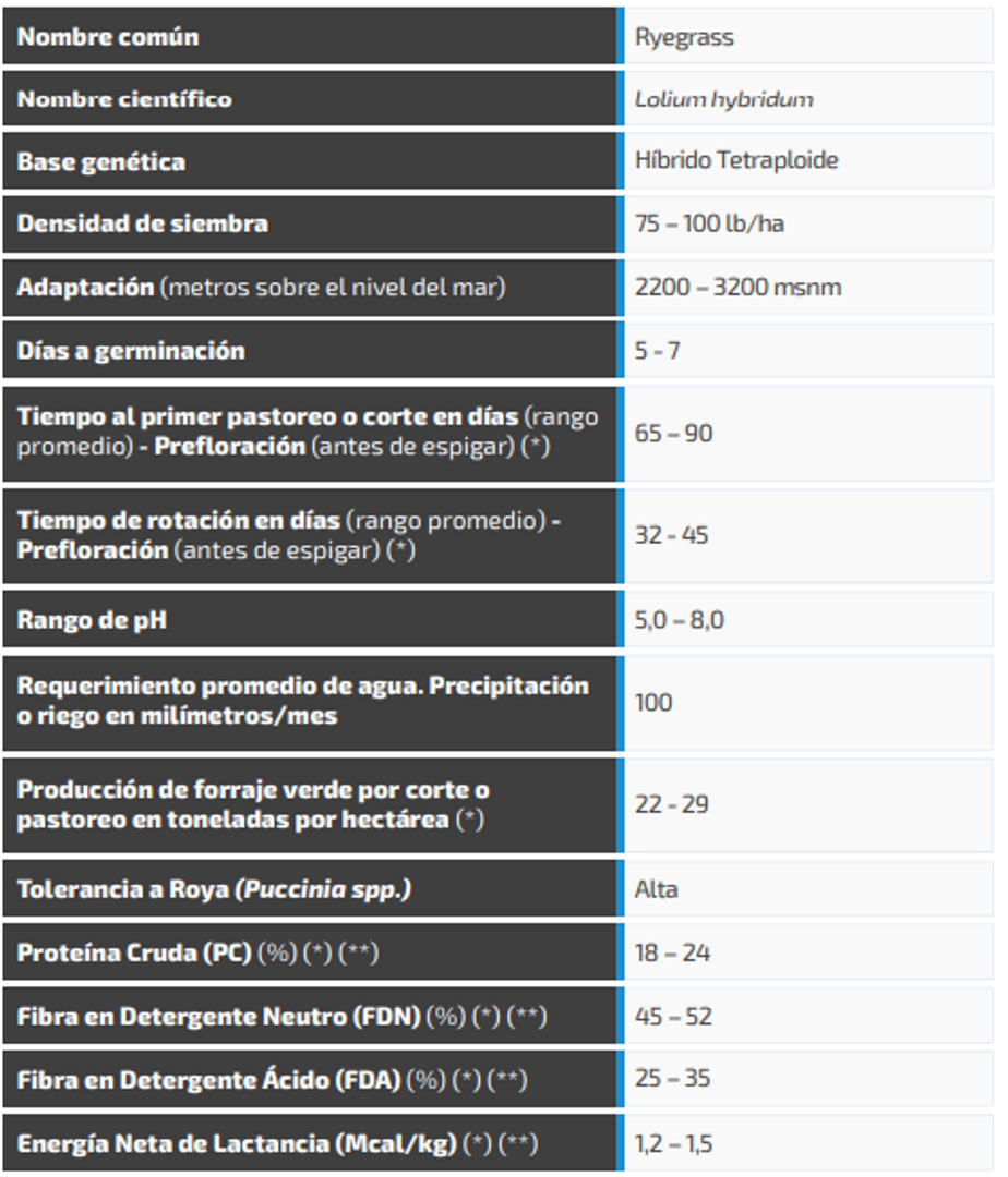 Ryegrass Dorella (Híbrido tetraploide) x Kilo AGOTADO