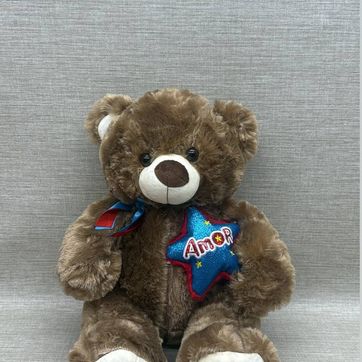 Imagen del producto OSO CON ESTRELLA 45 CM