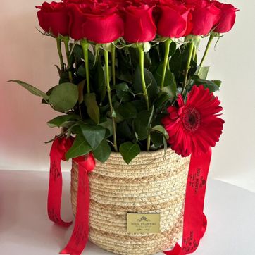 CANASTO ENCANTO  - imagen 1