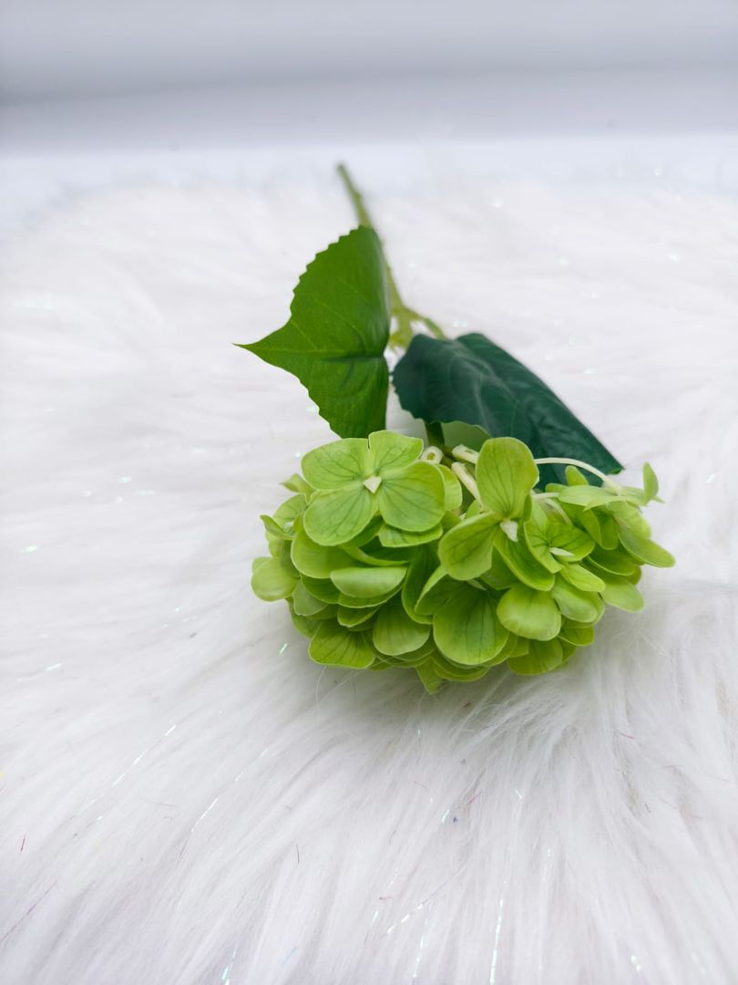 HORTENCIA INDIVIDUAL TG 663