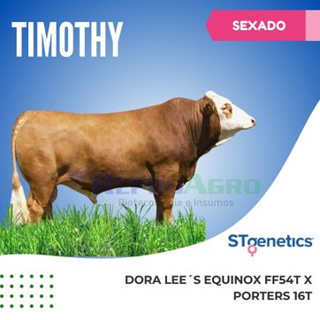 TIMOTHY SEXADO - imagen 1