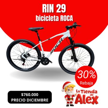 RIN 29 ROCA - imagen 1