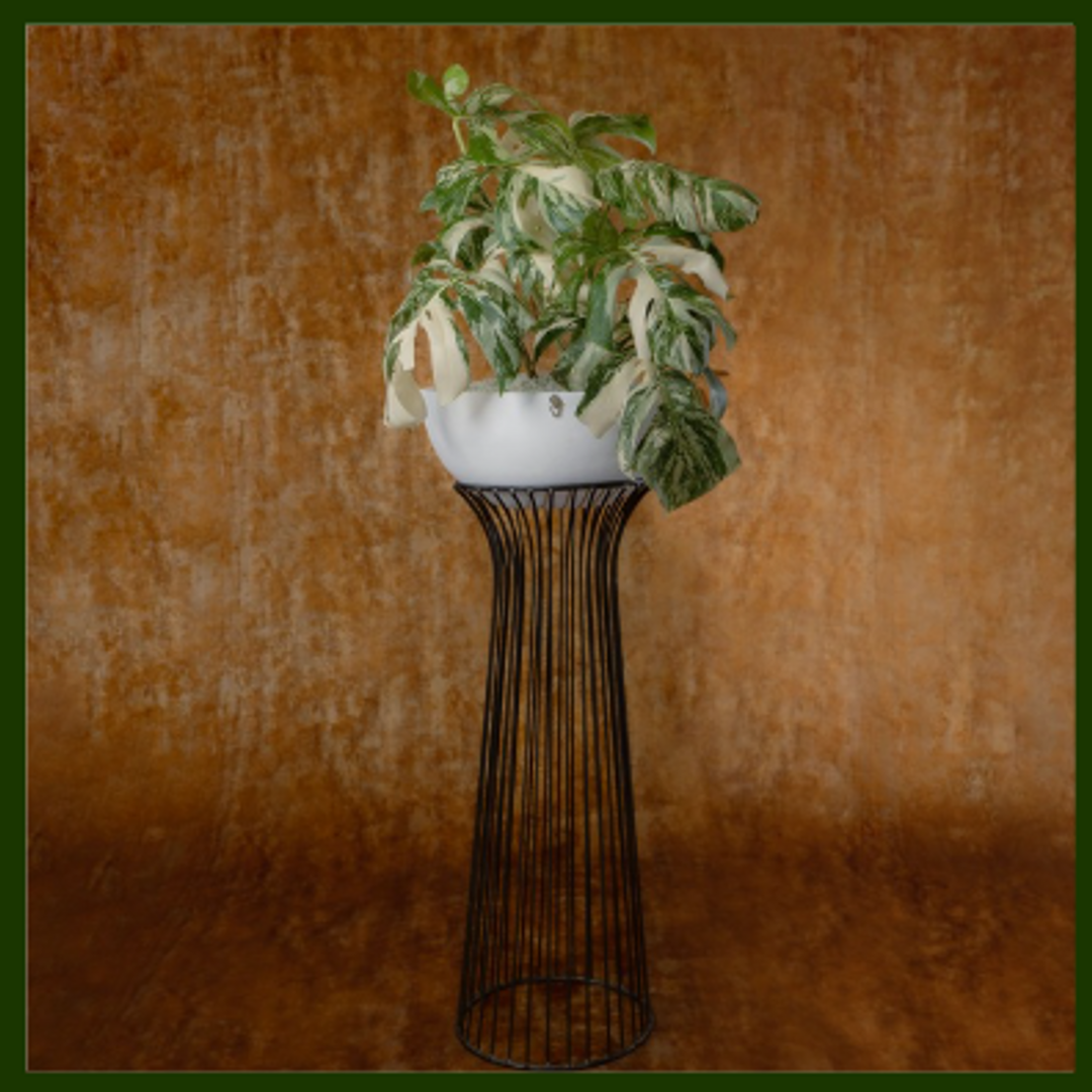 SOPORTES TORRE CAMILO (Negro y dorado)