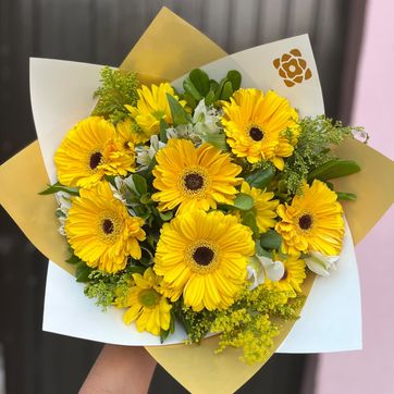 Imagen del producto x8 gerberas y follajes