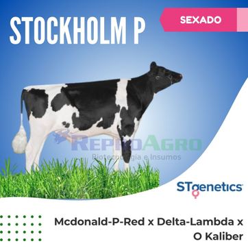 STOCKHOLM P SEXADO - imagen 1