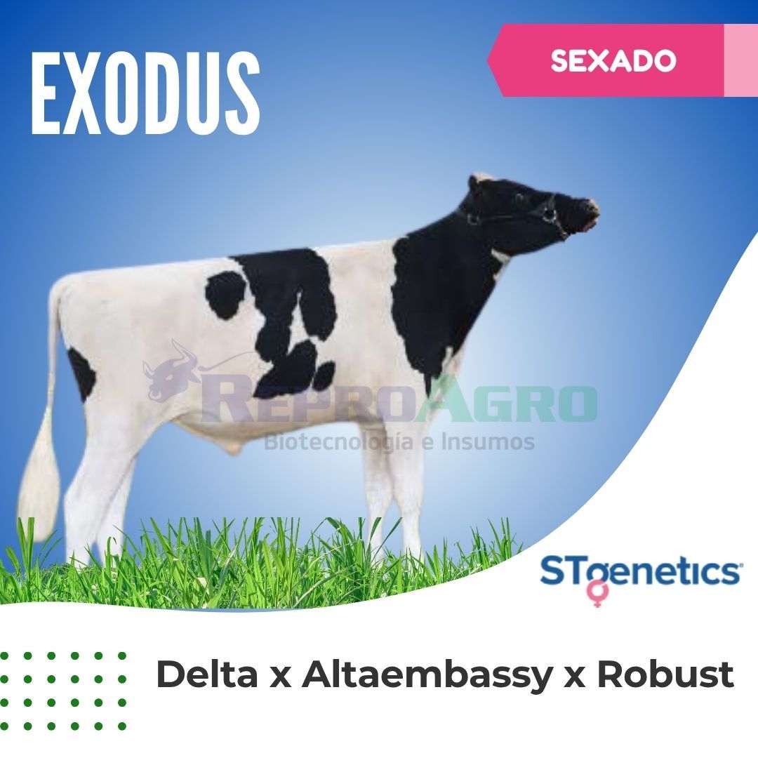 EXODUS SEXADO
