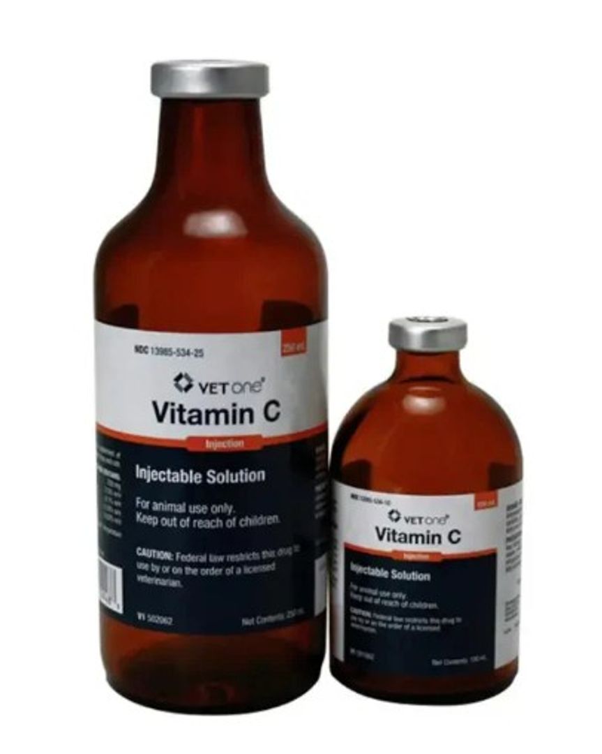 VITAMINA C INYECTABLE 100 ML