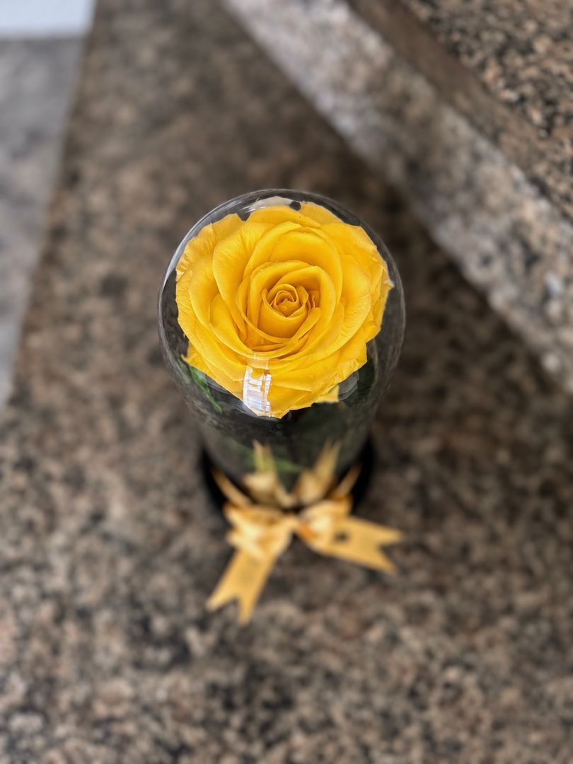 Rosa preservada 