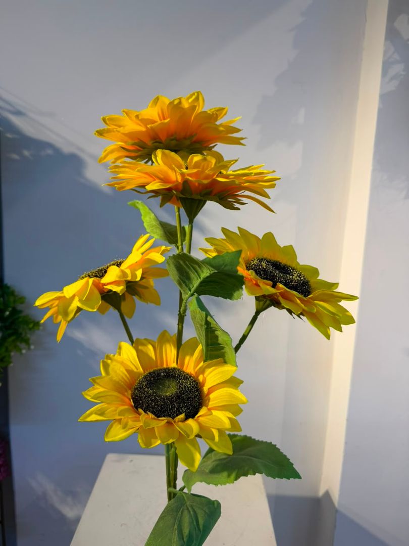 VARA DE GIRASOL X 5