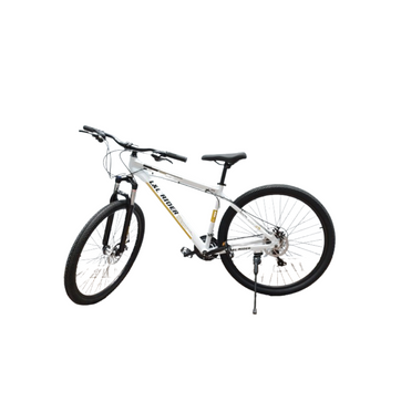 Imagen del producto BICICLETA  LLP-C006    