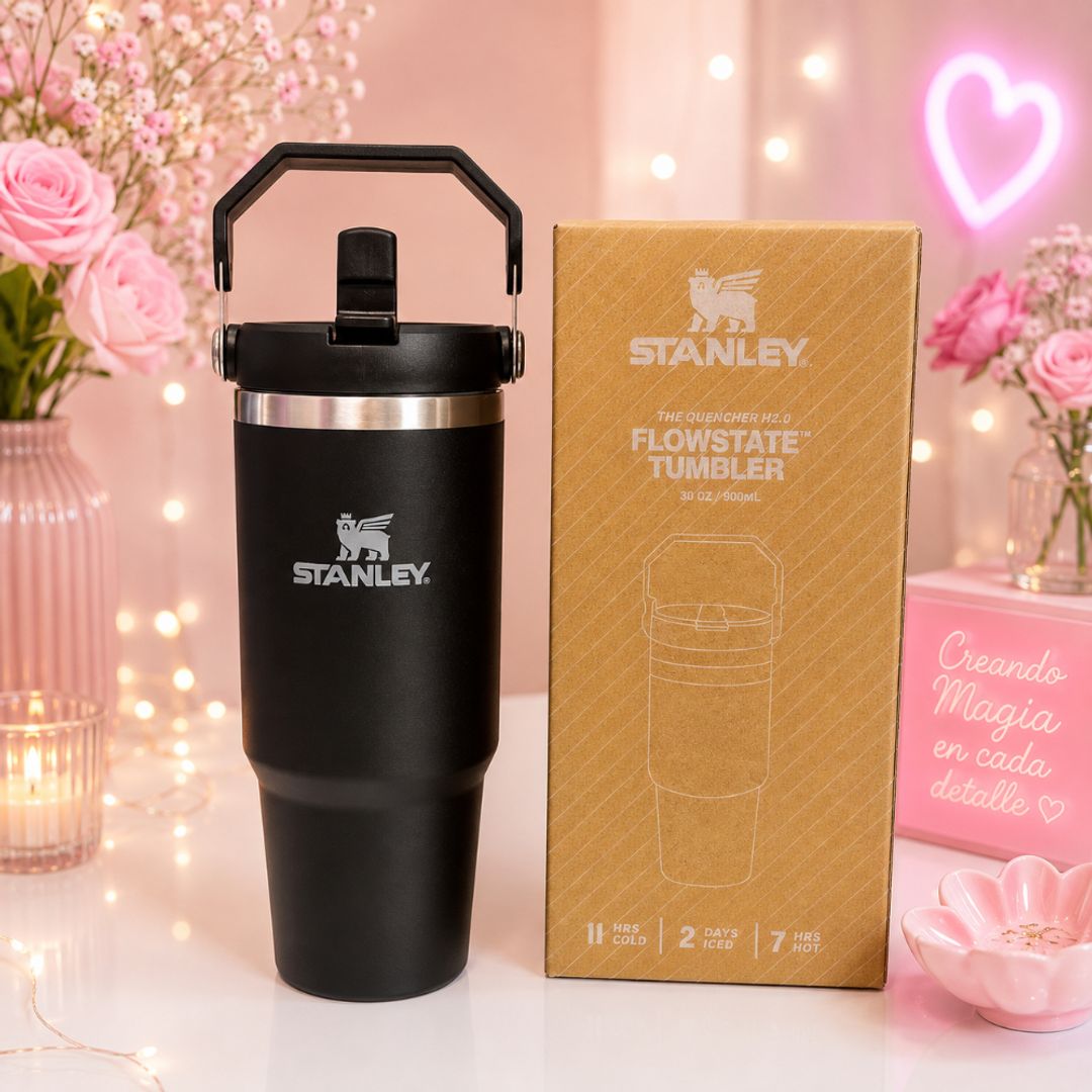 Termo stanley iceflow 