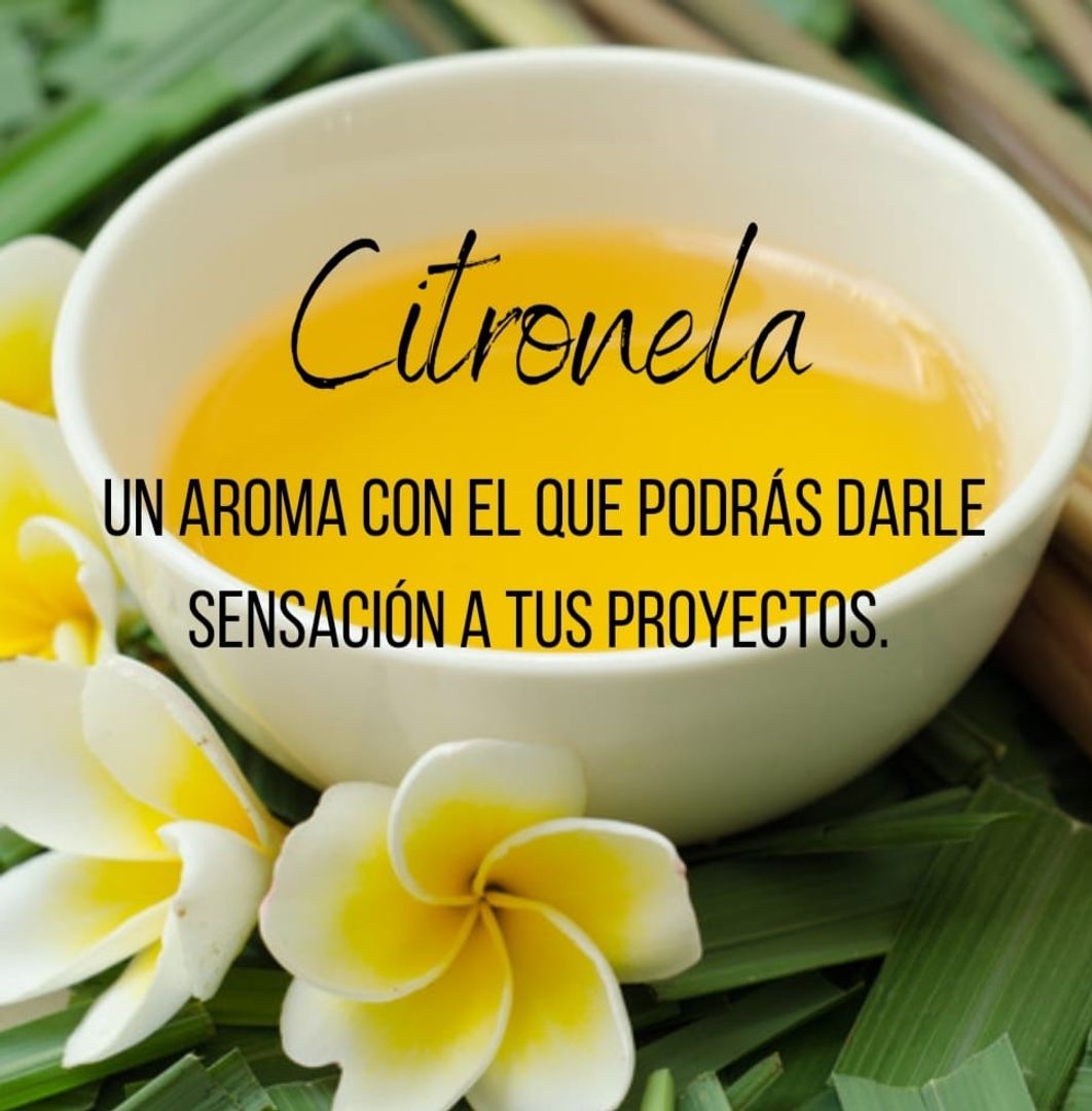 AROMA CITRONELA