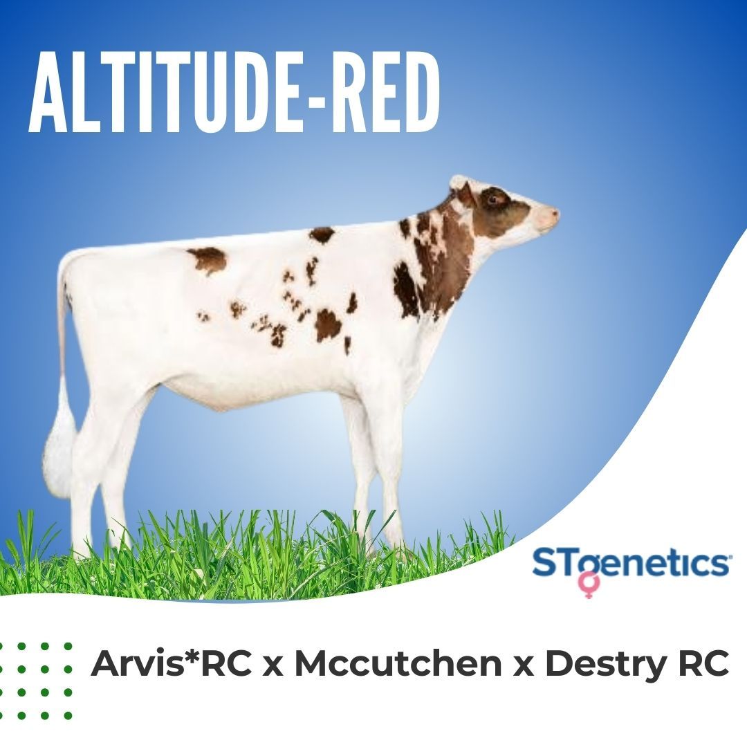 ALTITUDE-RED
