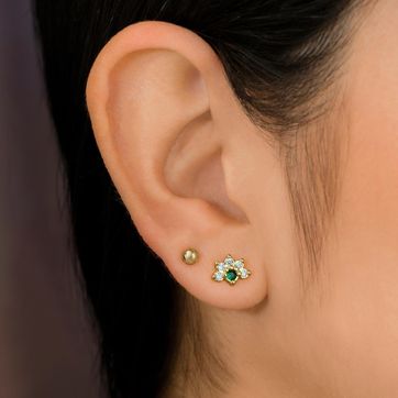 A Pavo Real - imagen 2