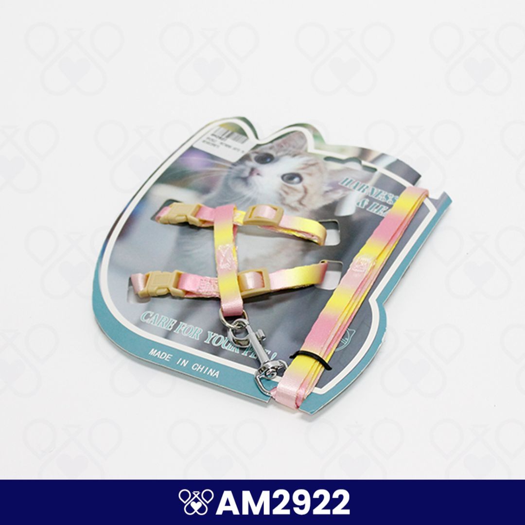 AM2922