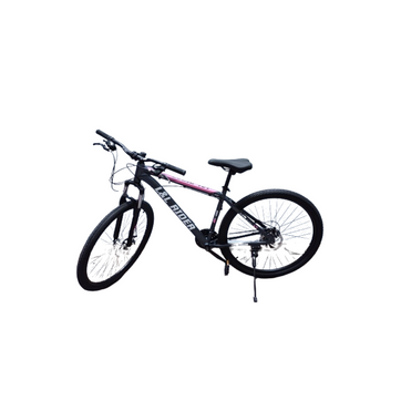 Imagen del producto BICICLETA  LLP-C004