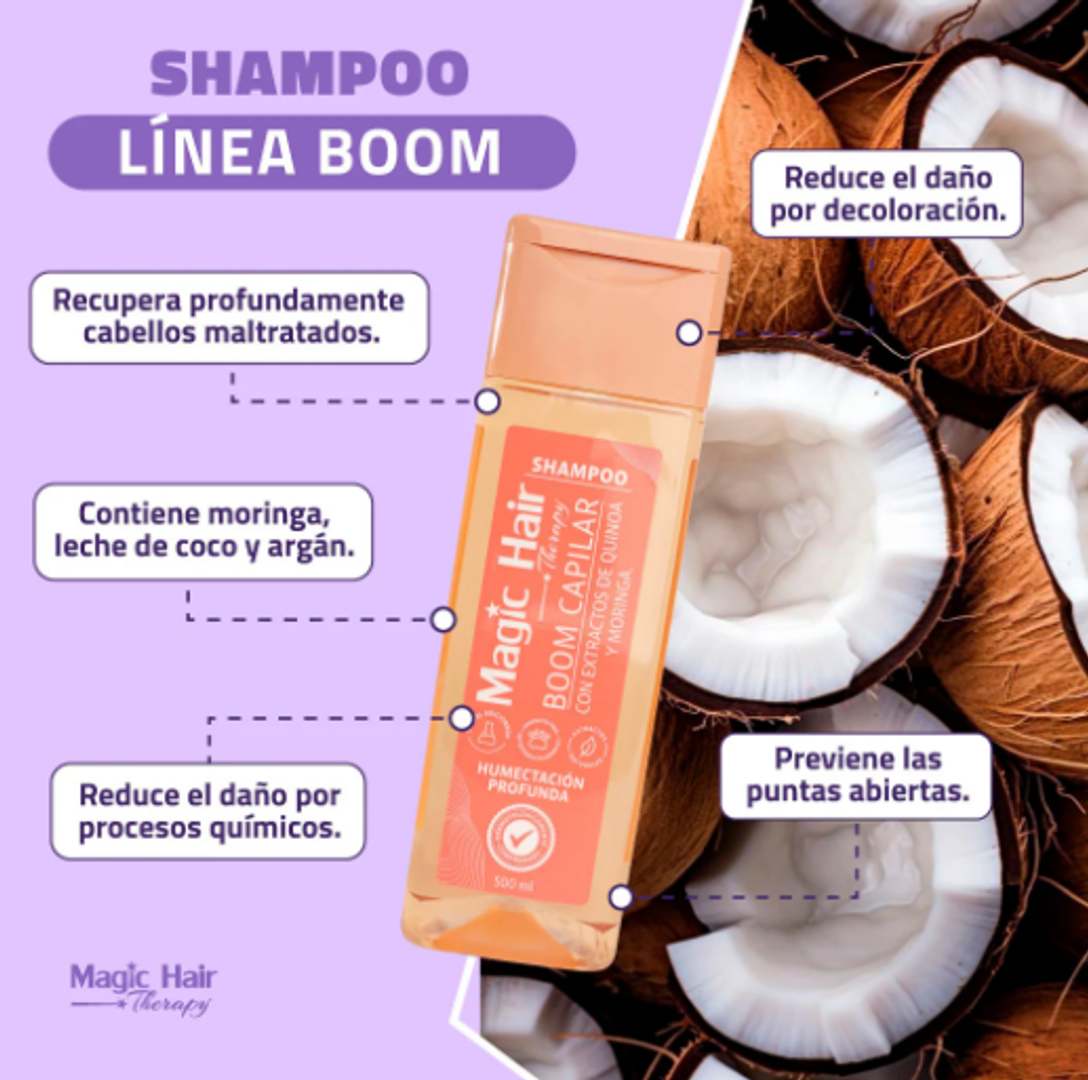 SHAMPOO BOOM REPARACION 