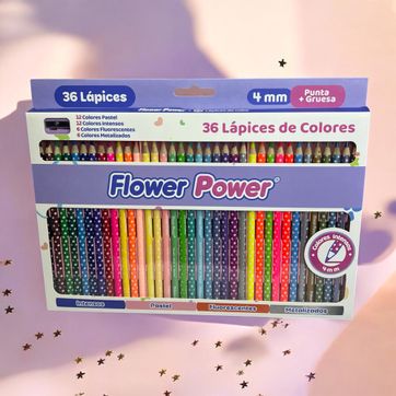 Imagen del producto CAJA DE COLORES FLOWER X36