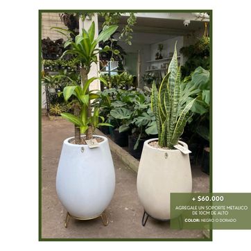 PROMO ELIGE TU FAVORITA - imagen 5