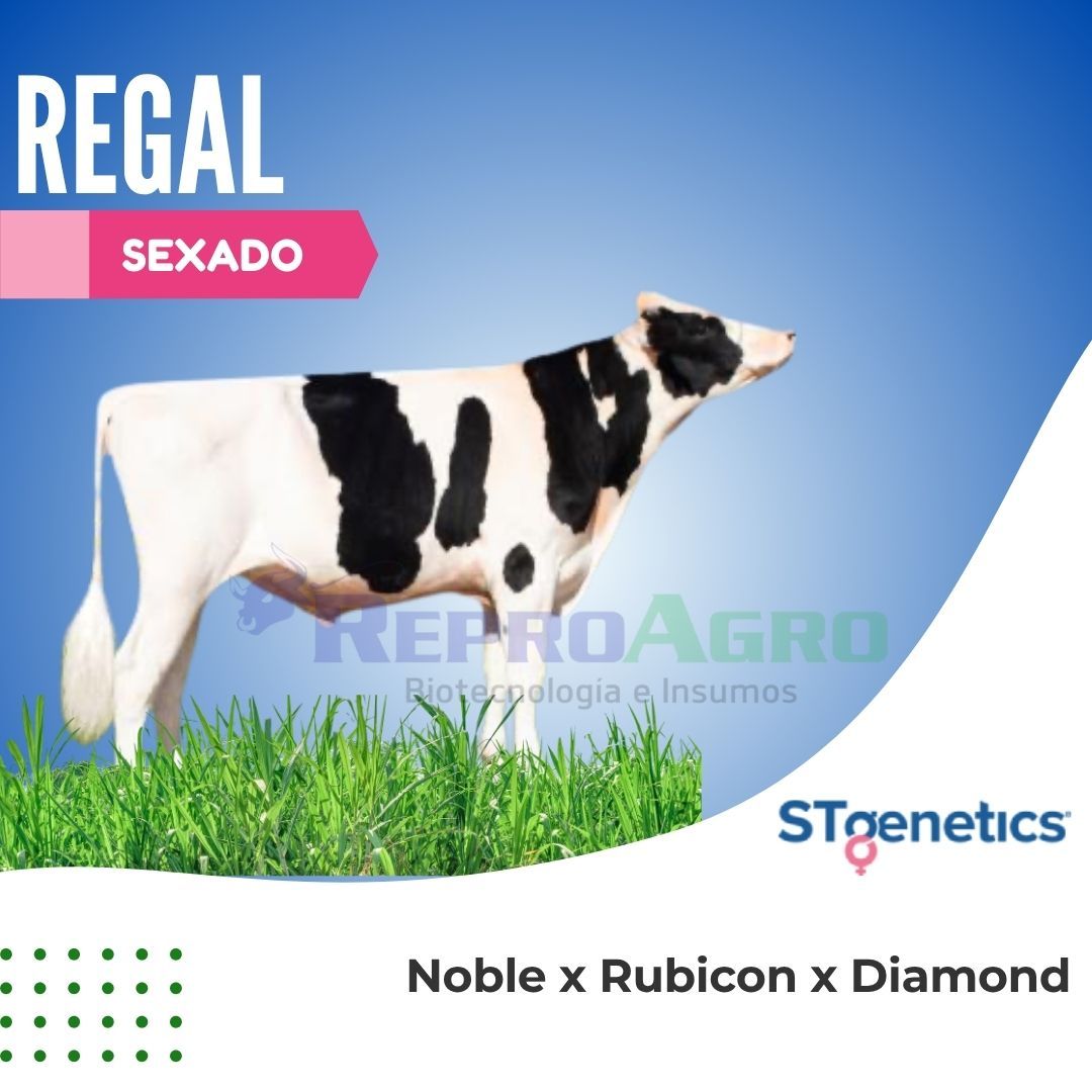 REGAL SEXADO