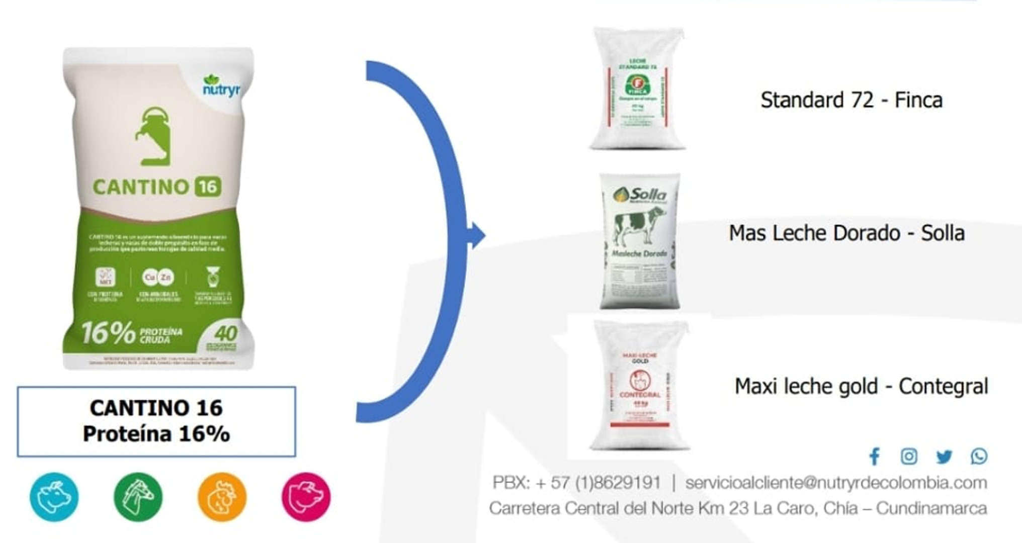 NUTRYR CANTINO 16 X 40 Kilos