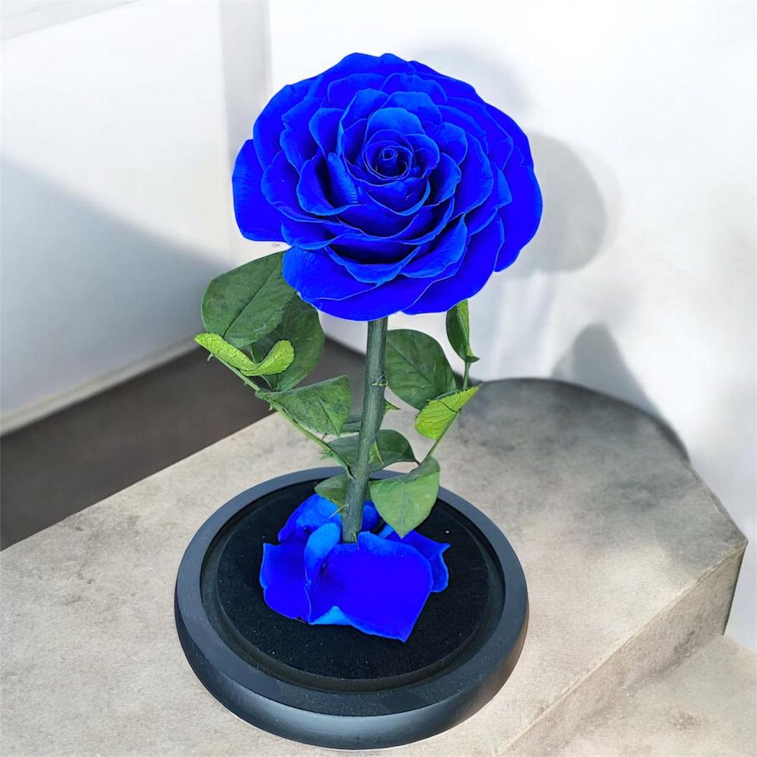 ROSA PRESERVADA O ETERNIZADA