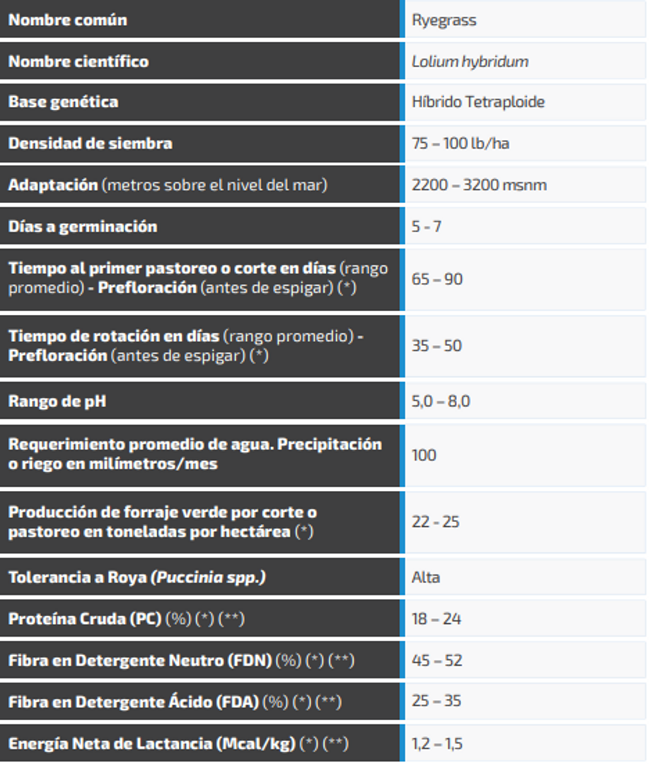 Ryegrass Bestfor Original (Híbrido tetraploide) x Kilo