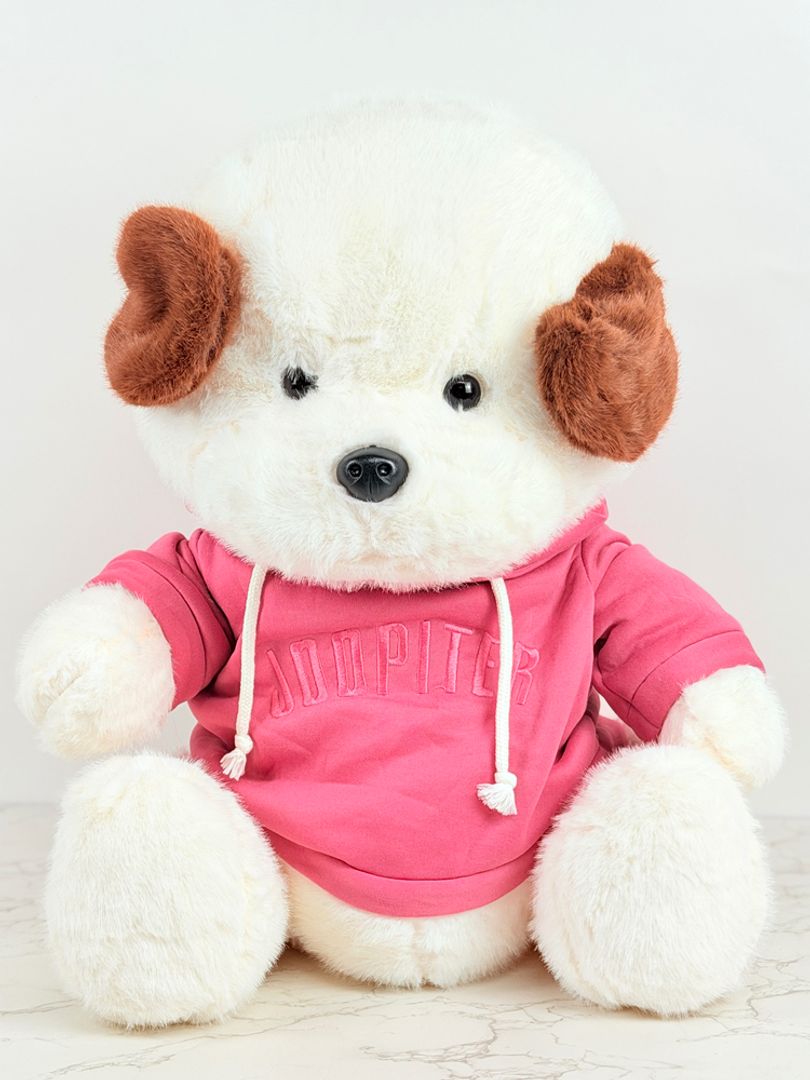 PERRO BUSO COLORES 55CM 