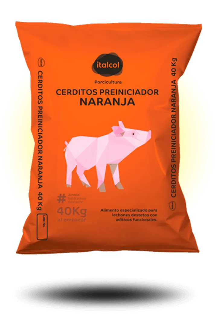 Cerdito preiniciador naranja