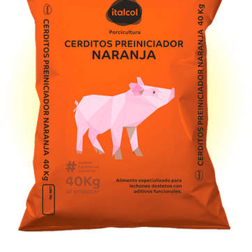 Imagen del producto Cerdito preiniciador naranja