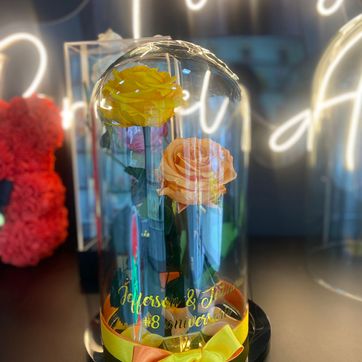 DOMO SOUL DUO - imagen 1