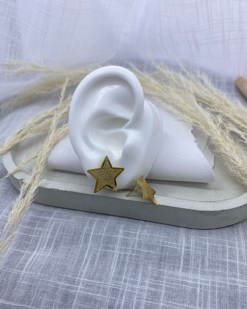 Topo estrella, bronce con baño de oro 