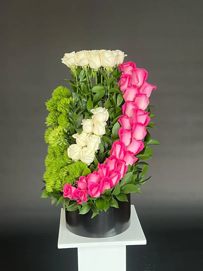 ESPIRAL ROSA 