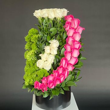 Imagen del producto ESPIRAL ROSA 