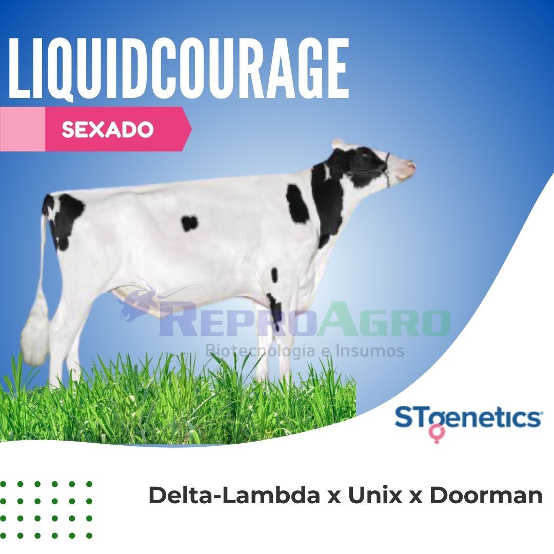LIQUIDCOURAGE SEXADO