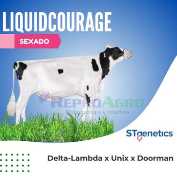 LIQUIDCOURAGE SEXADO - imagen 1