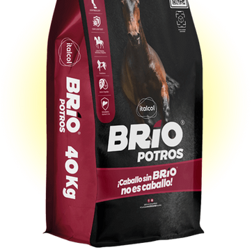 Imagen del producto BRIO POTROS 40 Kilos