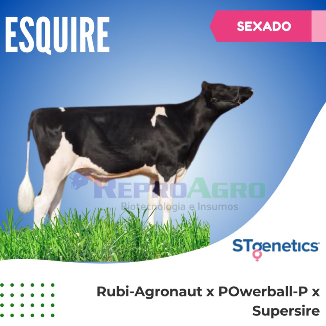 ESQUIRE SEXADO