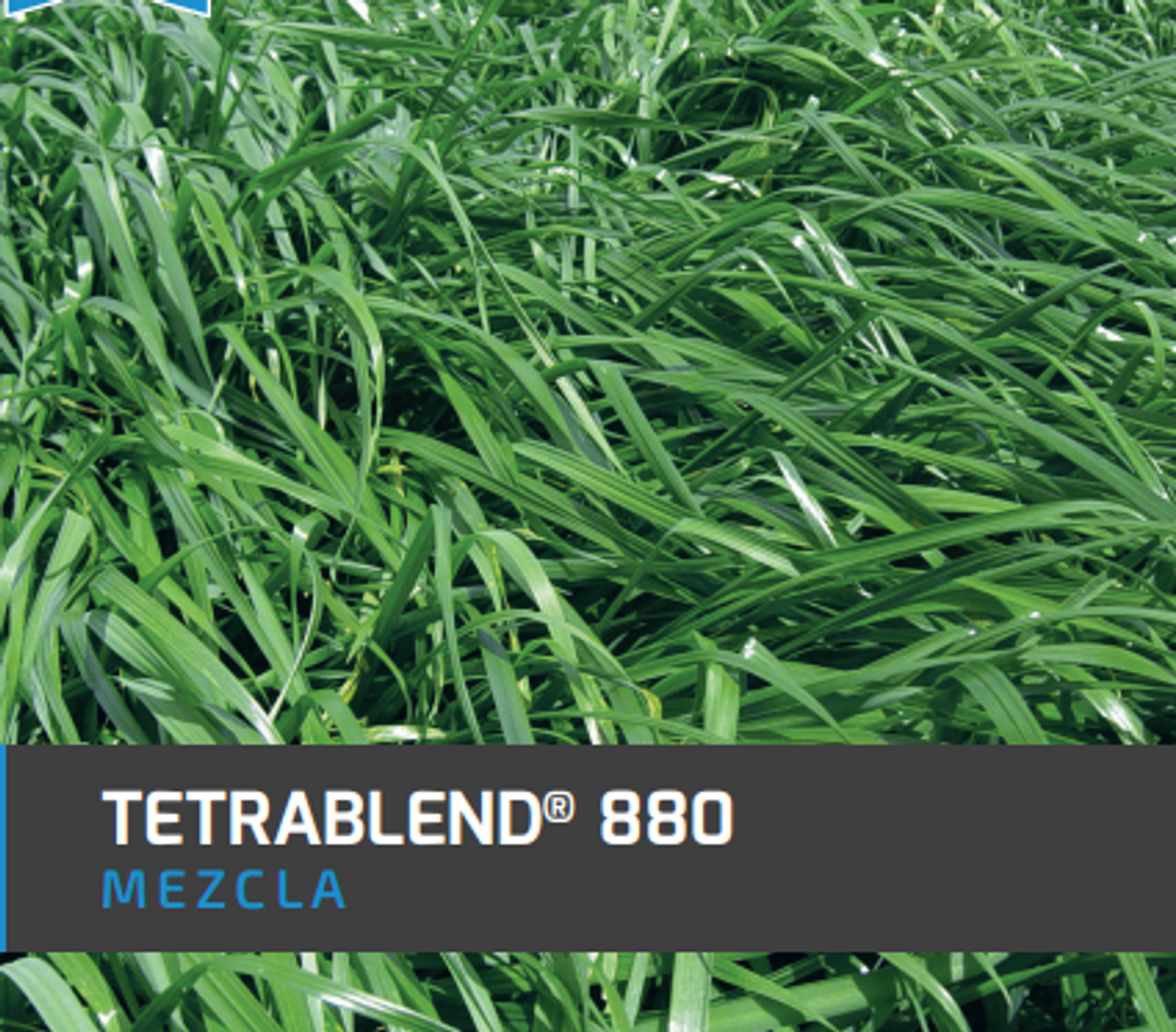 Tetrablend 880 x Kilo
