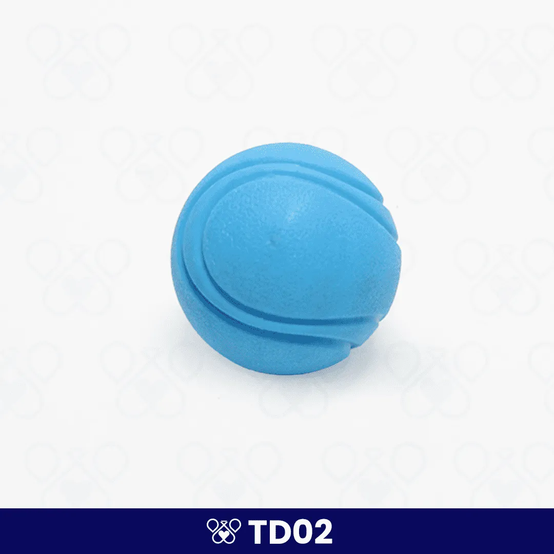 TD02